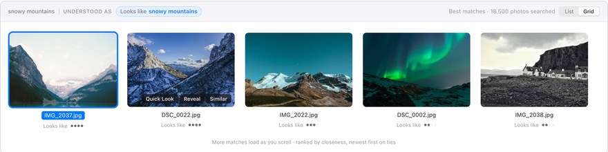 The search page for a photo query with picture results in a grid