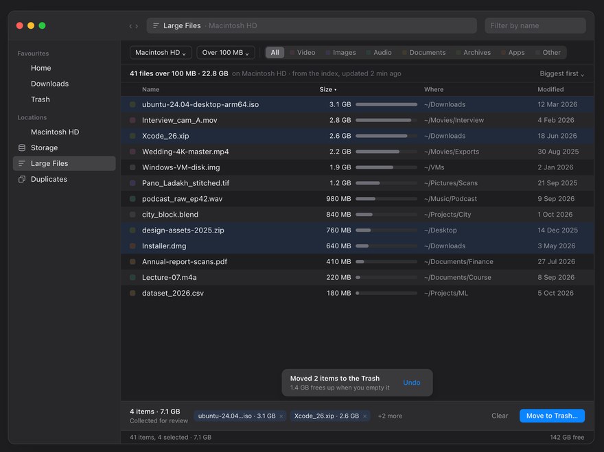 The Large Files page: the biggest files on a disk first, a filter bar for folder, minimum size and type, and a review tray