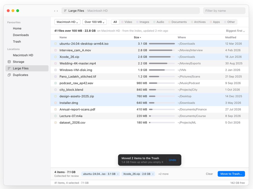 The Large Files page: the biggest files on a disk first, a filter bar for folder, minimum size and type, and a review tray
